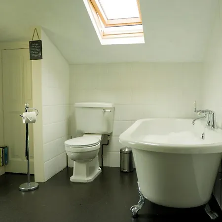 Wild Duck Pennington