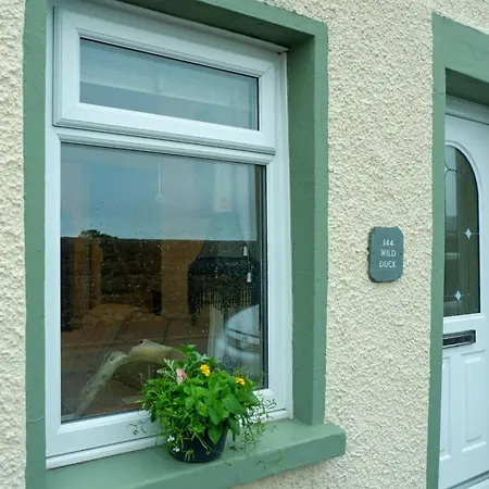 Wild Duck Tatil Evi *