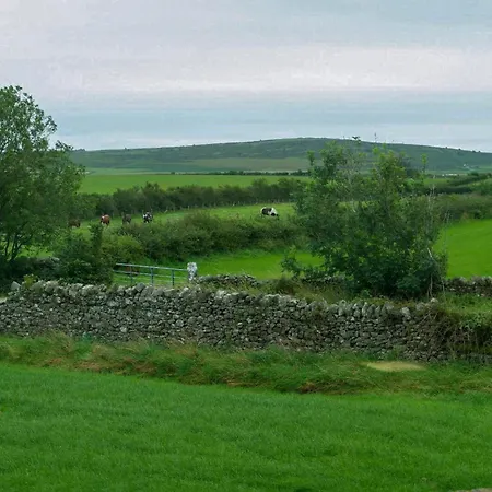 Wild Duck * Pennington