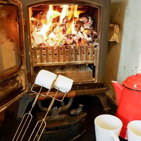 Wild Duck Pennington