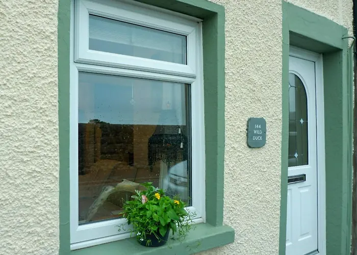 Wild Duck Tatil Evi *